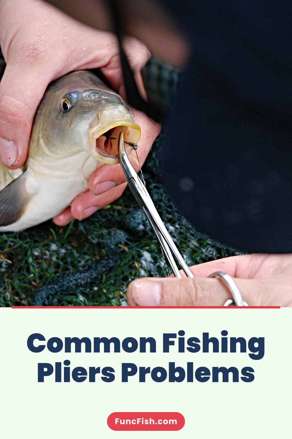 Common Fishing Pliers Problems Common Fishing Pliers Problems