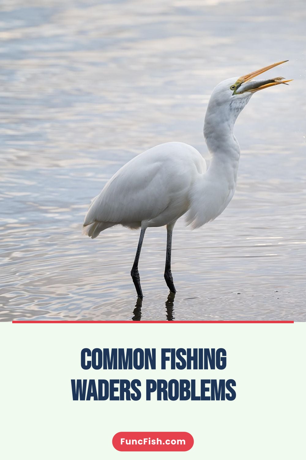 Common Fishing Waders Problems
