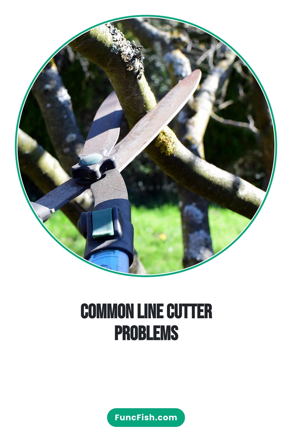 Common Line Cutter Problems Common Line Cutter Problems