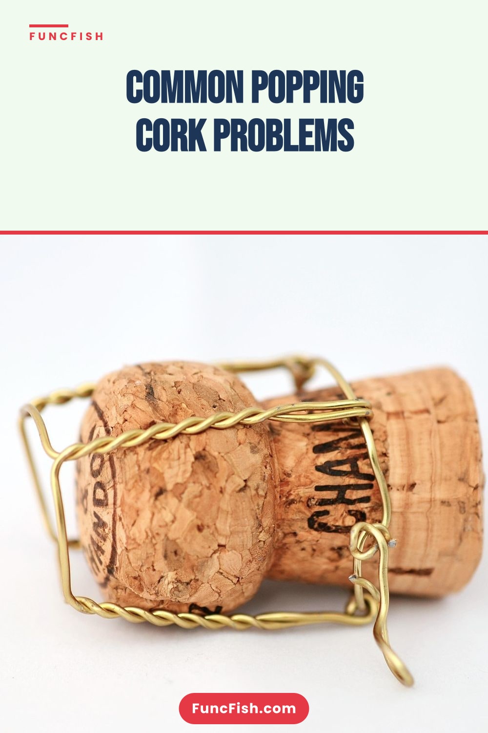 Common Popping Cork Problems Common Popping Cork Problems