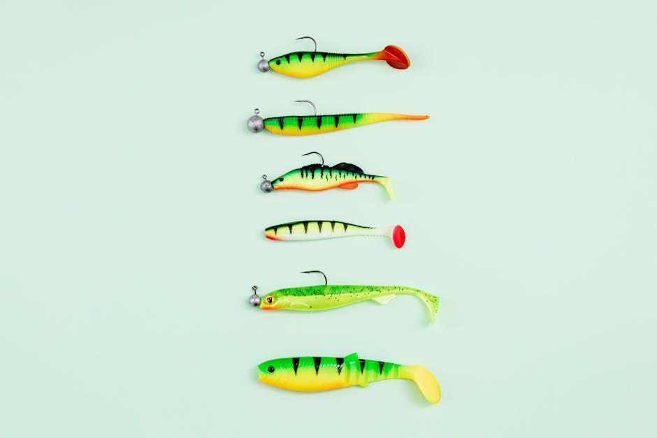 cut fish bait cut fish bait