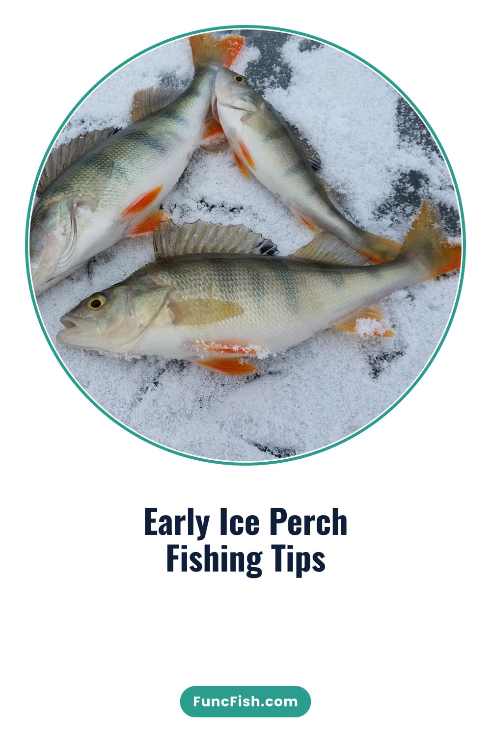 Early Ice Perch Fishing Tips