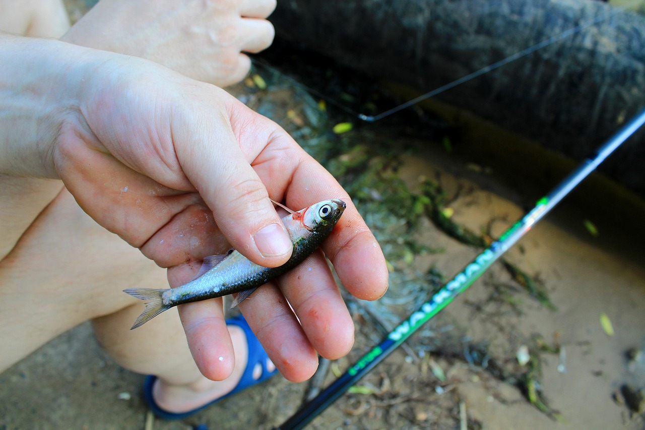 fisherman holding fish fisherman holding fish