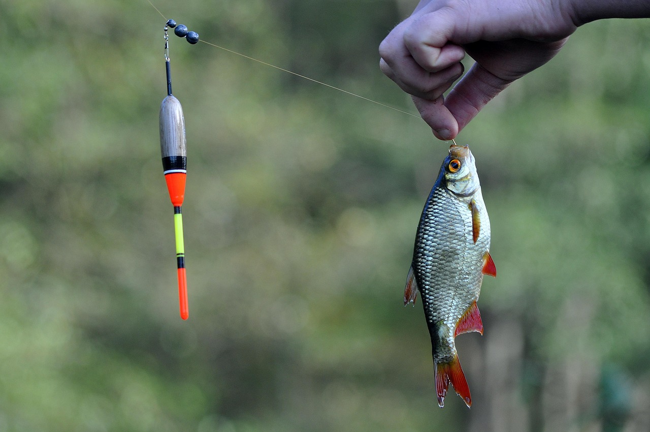fishing float bobber fishing float bobber