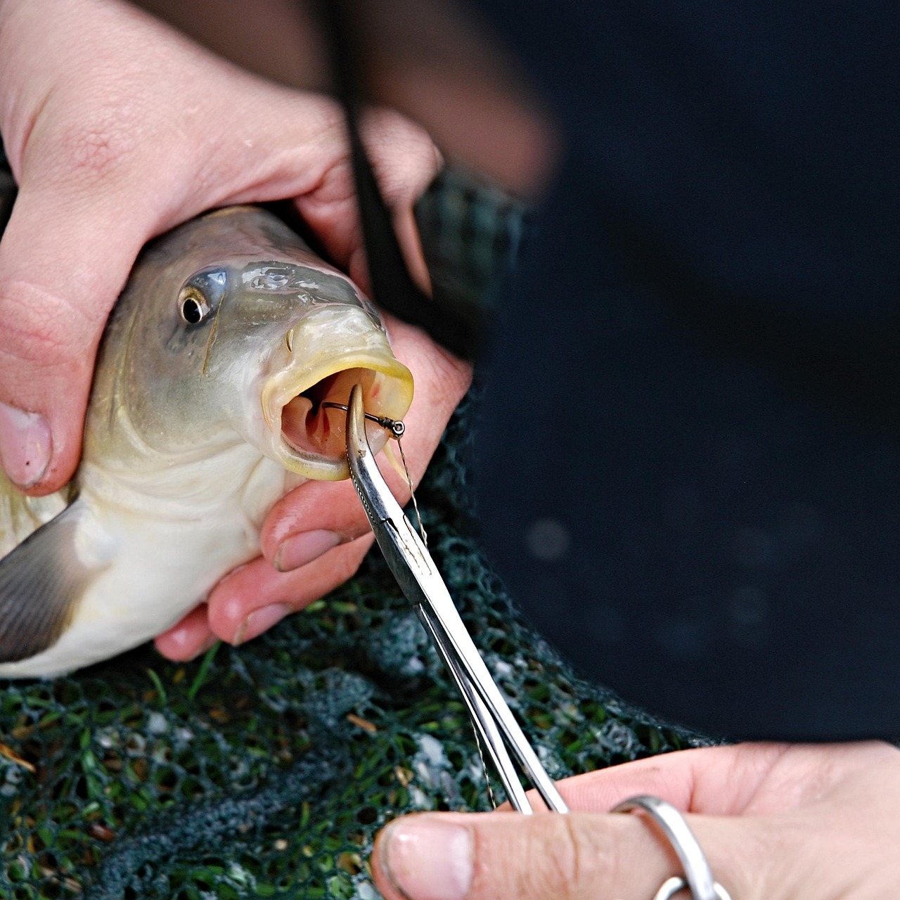 10 Common Hook Remover Problems and How to Fix Them - FuncFish