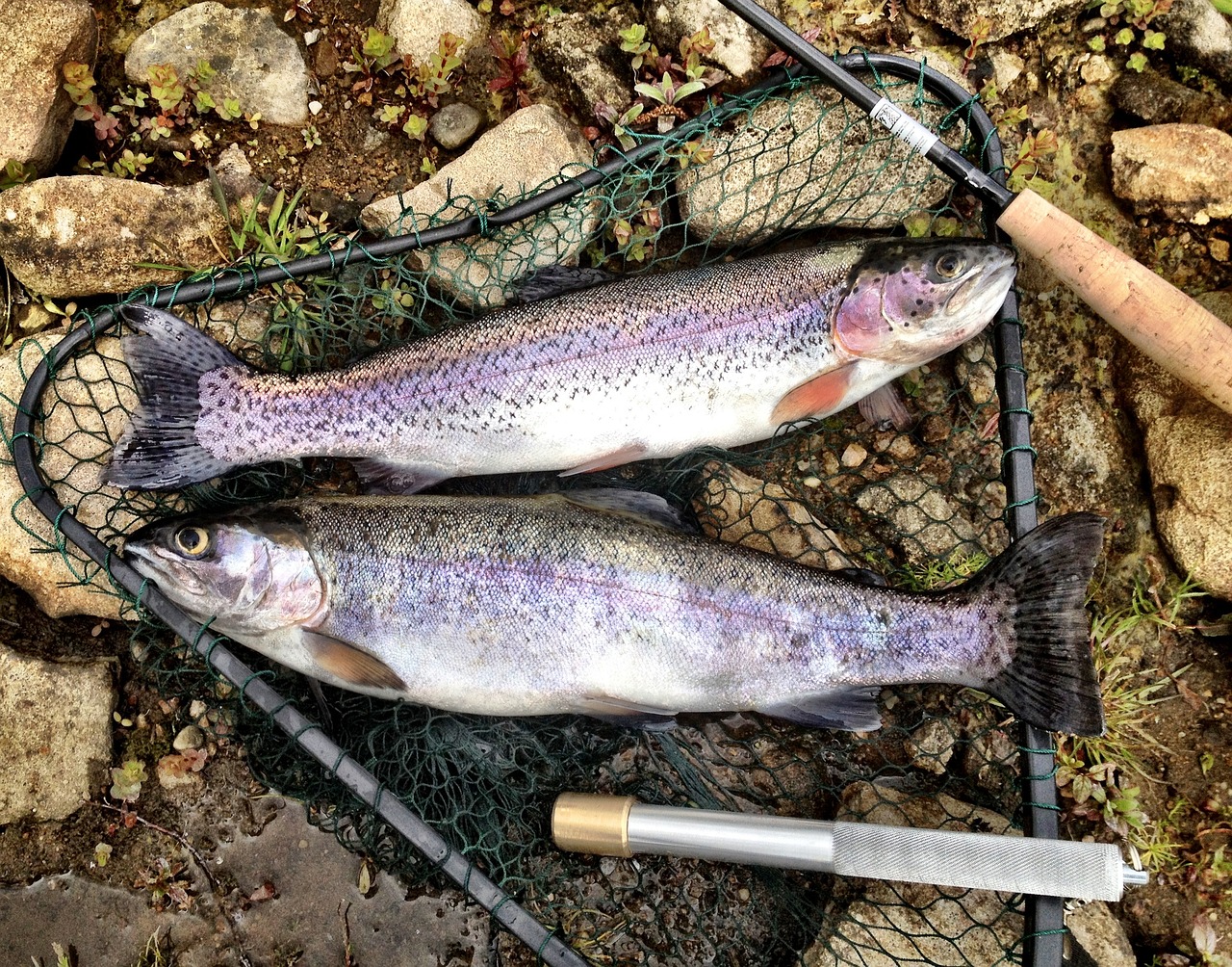 fishing landing net fishing landing net