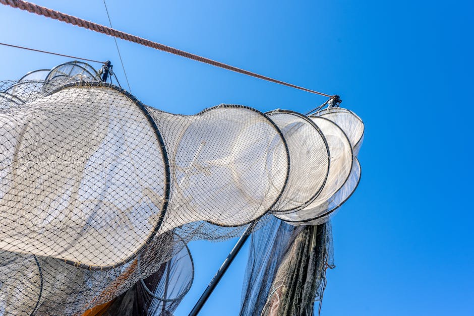 fishing net mesh fishing net mesh