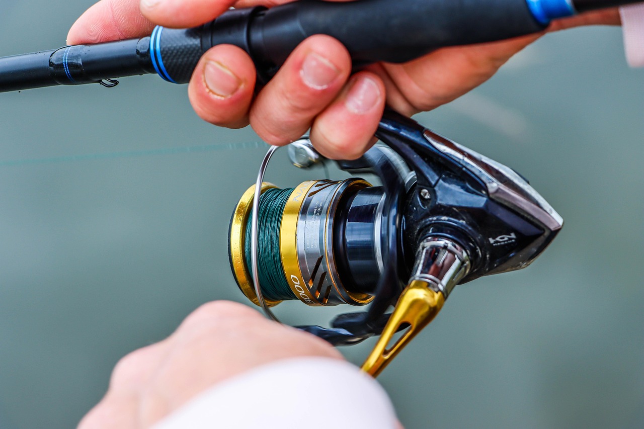 fishing rod reel fishing rod reel
