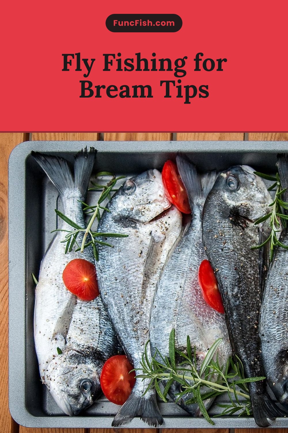 Fly Fishing for Bream Tips
