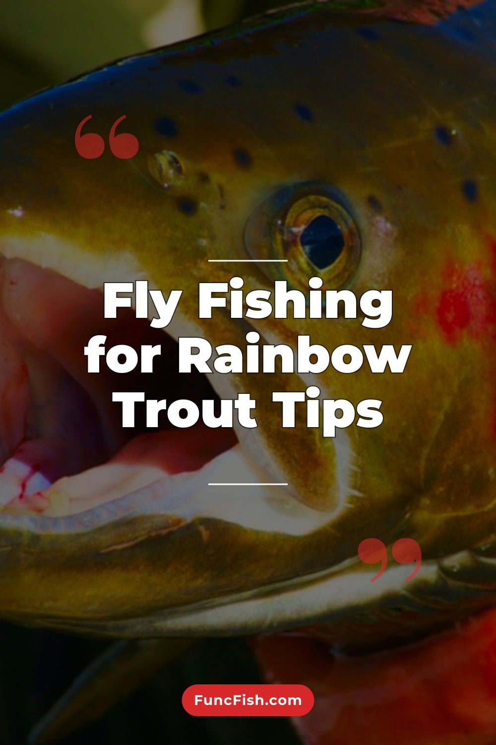Fly Fishing for Rainbow Trout Tips Fly Fishing for Rainbow Trout Tips