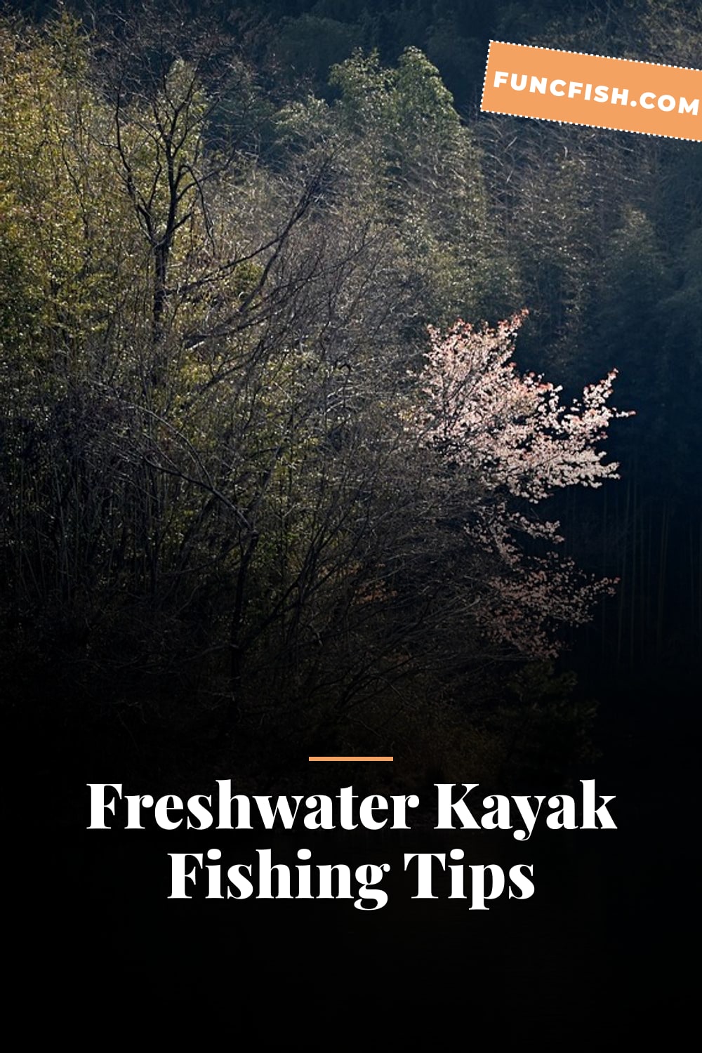 Freshwater Kayak Fishing Tips Freshwater Kayak Fishing Tips