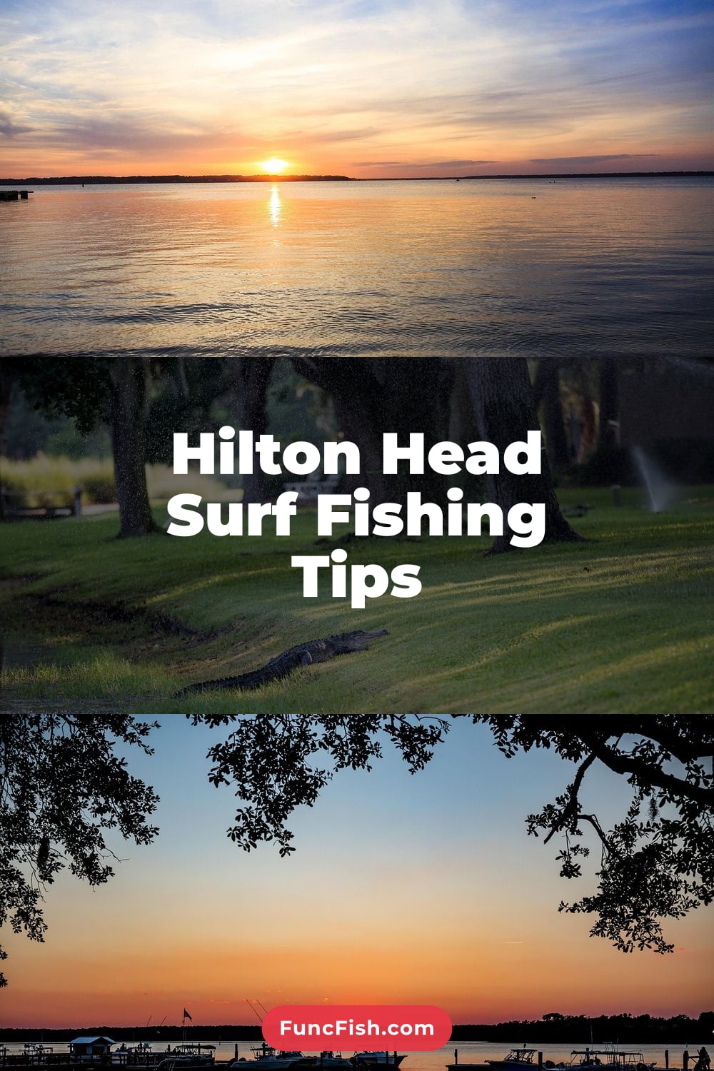 Hilton Head Surf Fishing Tips Hilton Head Surf Fishing Tips