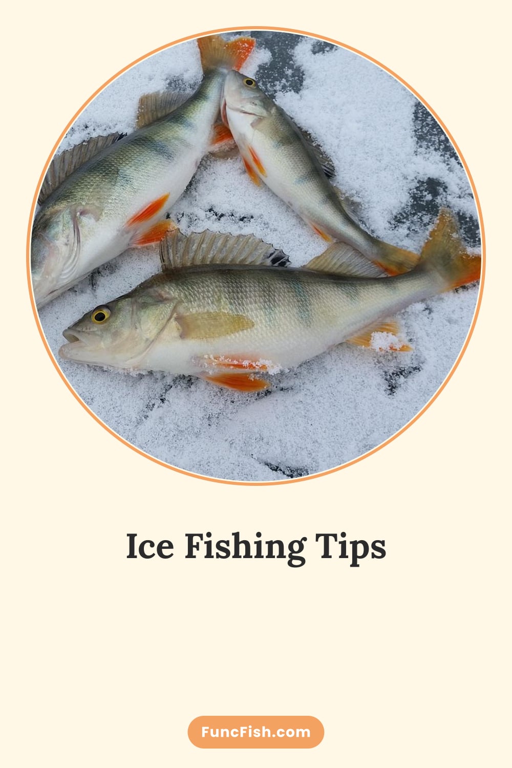 Ice Fishing Tips