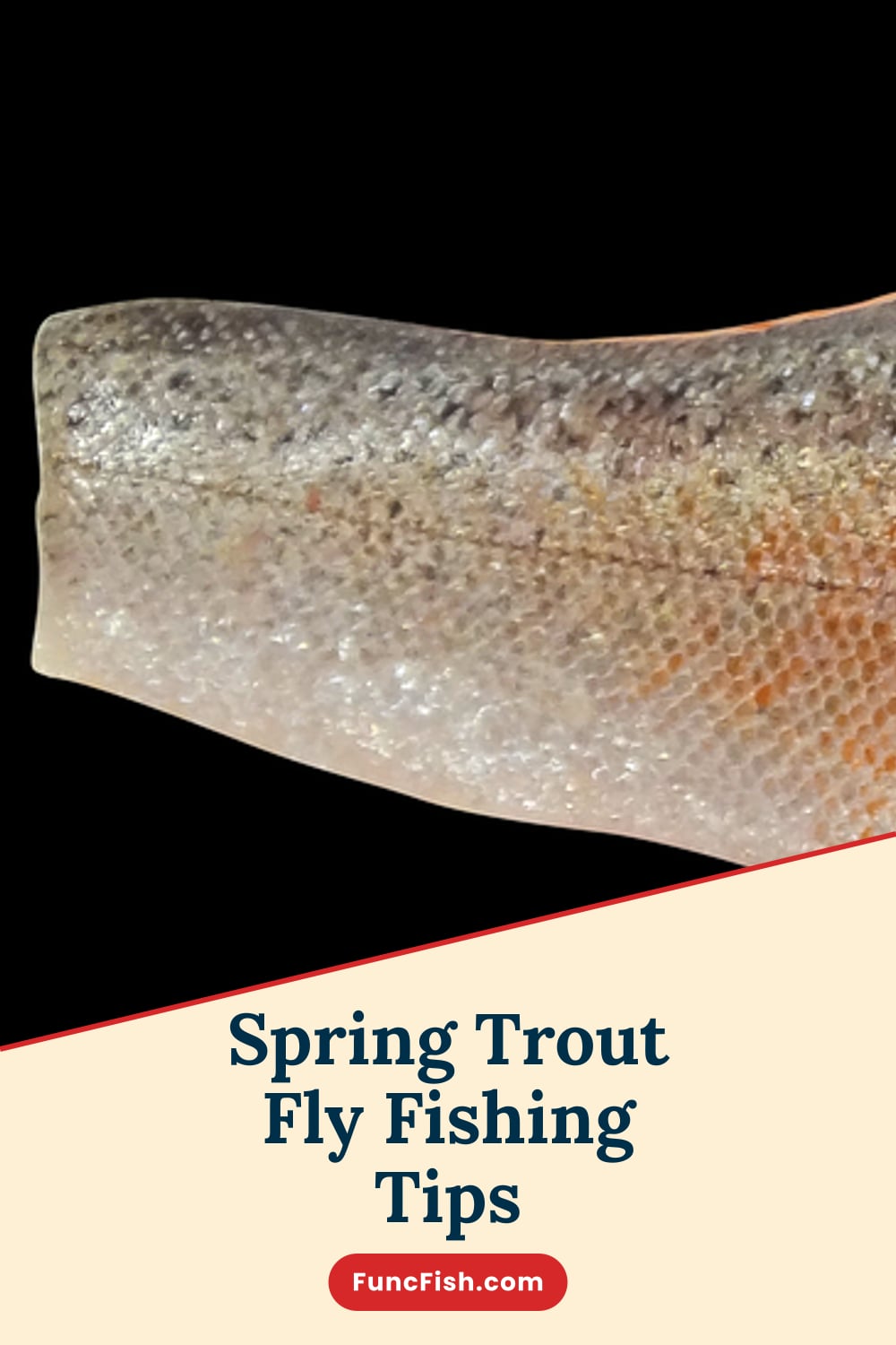 Spring Trout Fly Fishing Tips