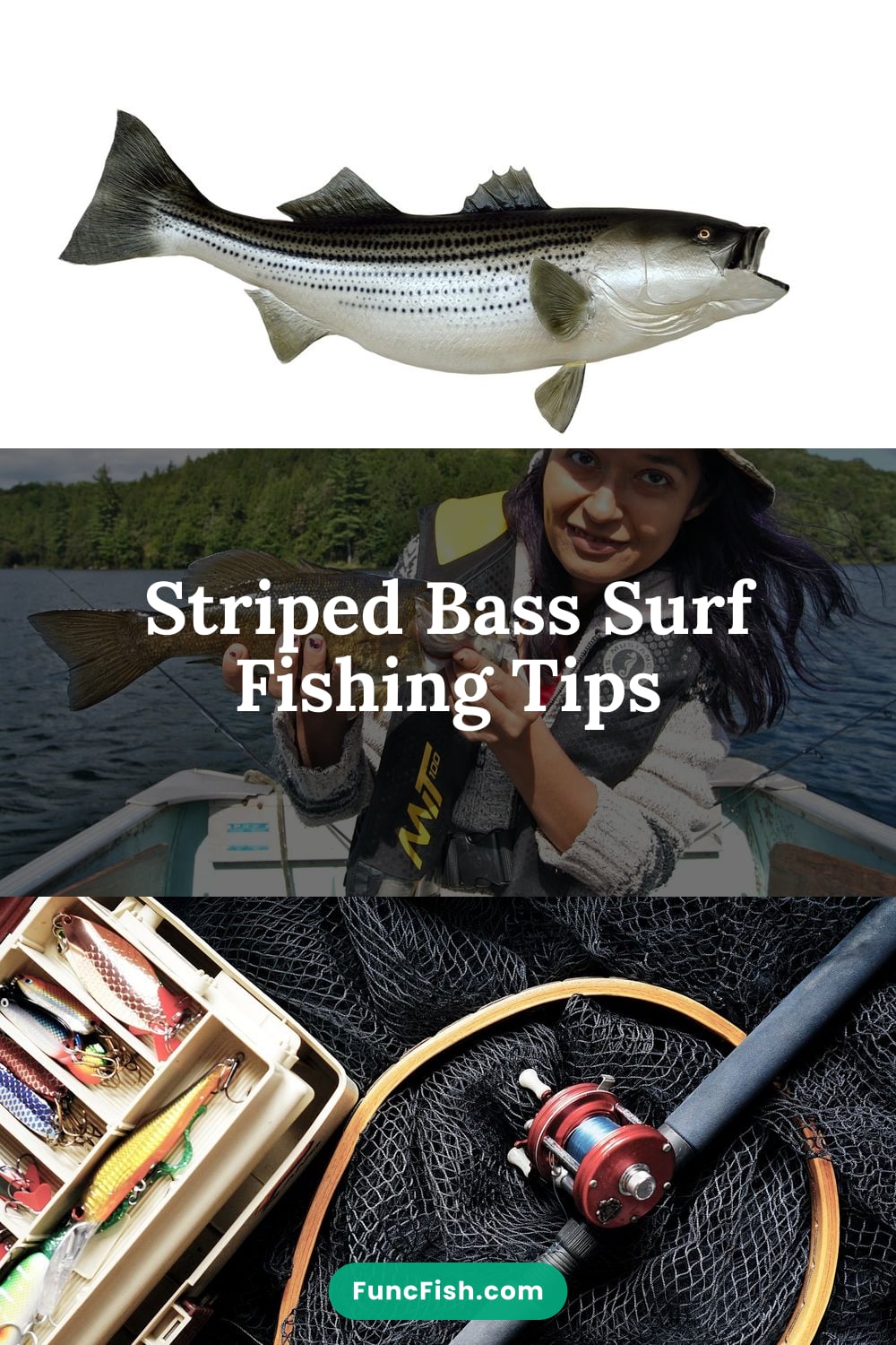 Striped Bass Surf Fishing Tips Striped Bass Surf Fishing Tips