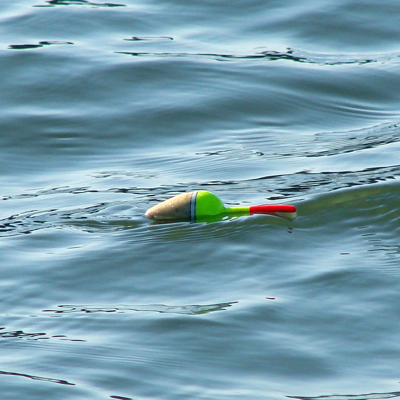 tangled fishing line tangled fishing line