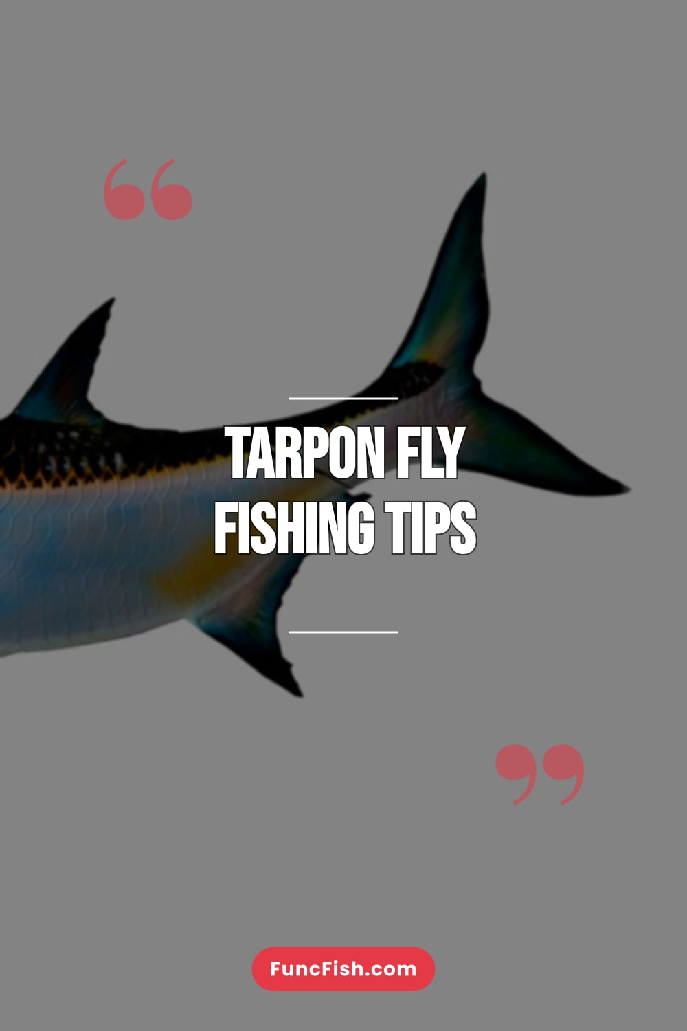 Tarpon Fly Fishing Tips Tarpon Fly Fishing Tips