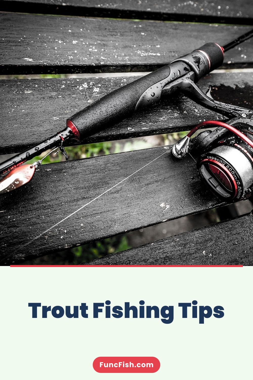 Trout Fishing Tips