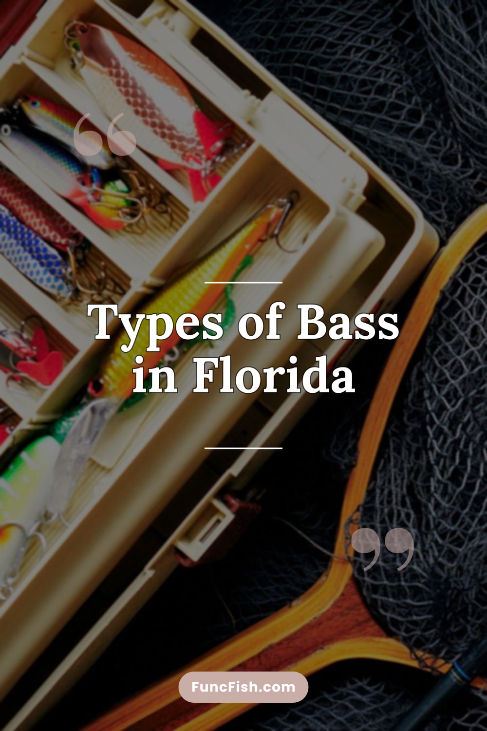 Types of Bass in Florida