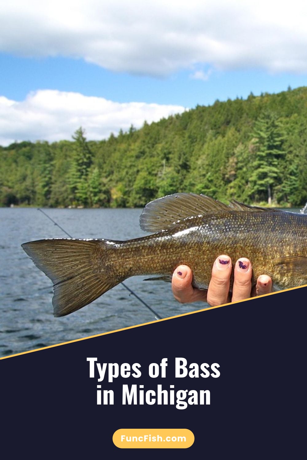 Types of Bass in Michigan