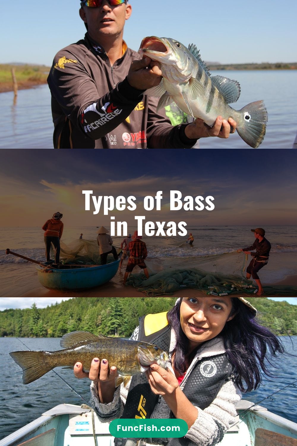 Types of Bass in Texas