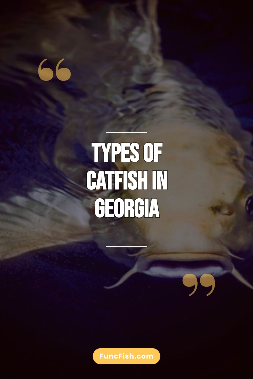 Types of Catfish in Georgia