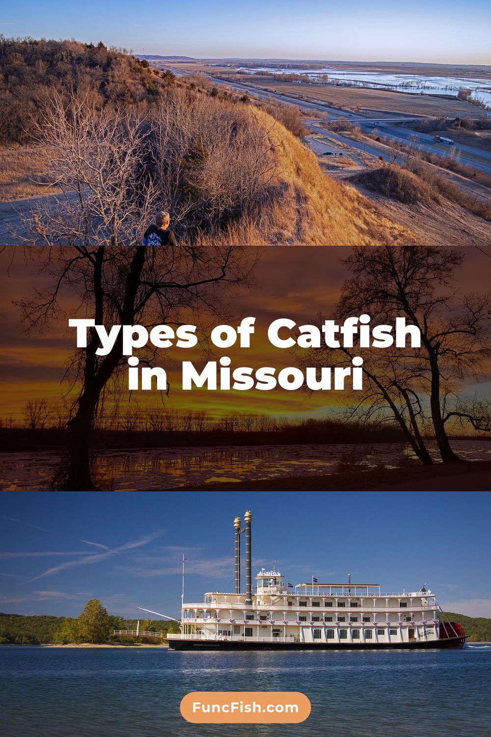 Types of Catfish in Missouri Types of Catfish in Missouri