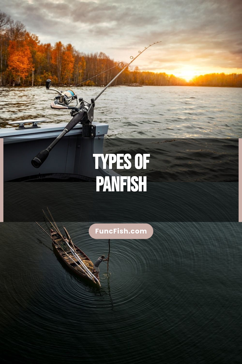 Types of Panfish Types of Panfish