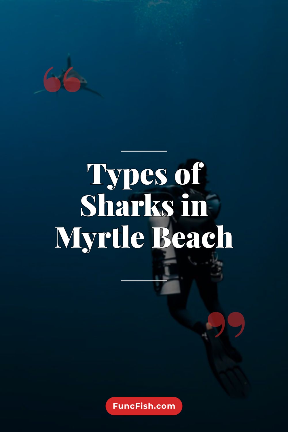 Types of Sharks in Myrtle Beach