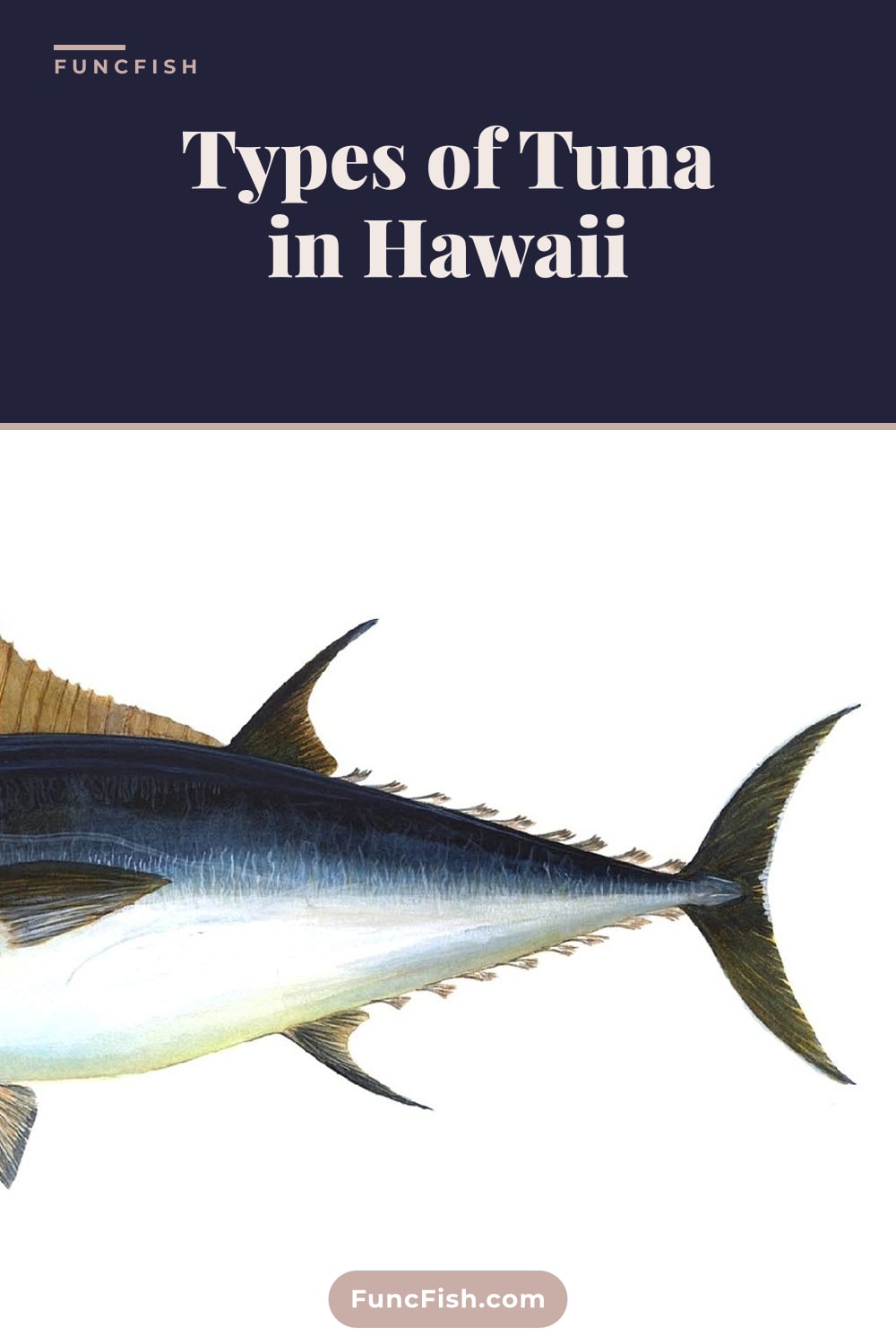 Types of Tuna in Hawaii