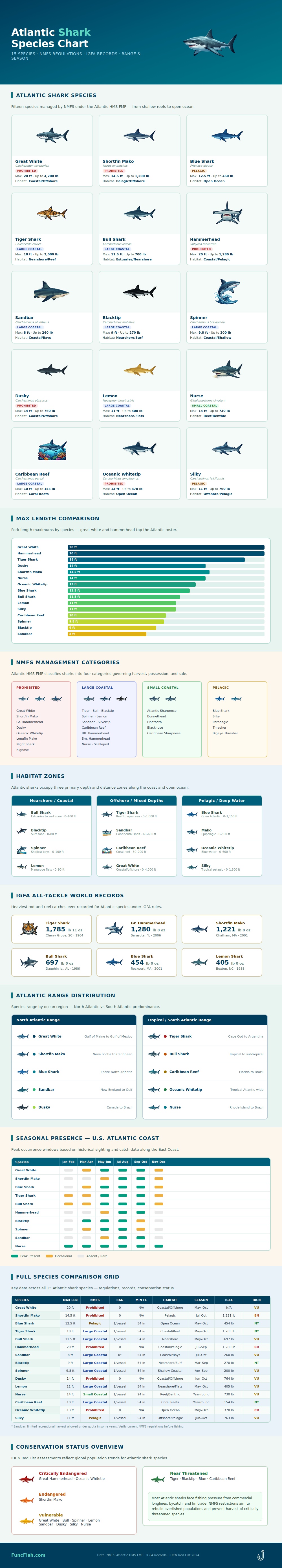 Atlantic Shark Species Chart