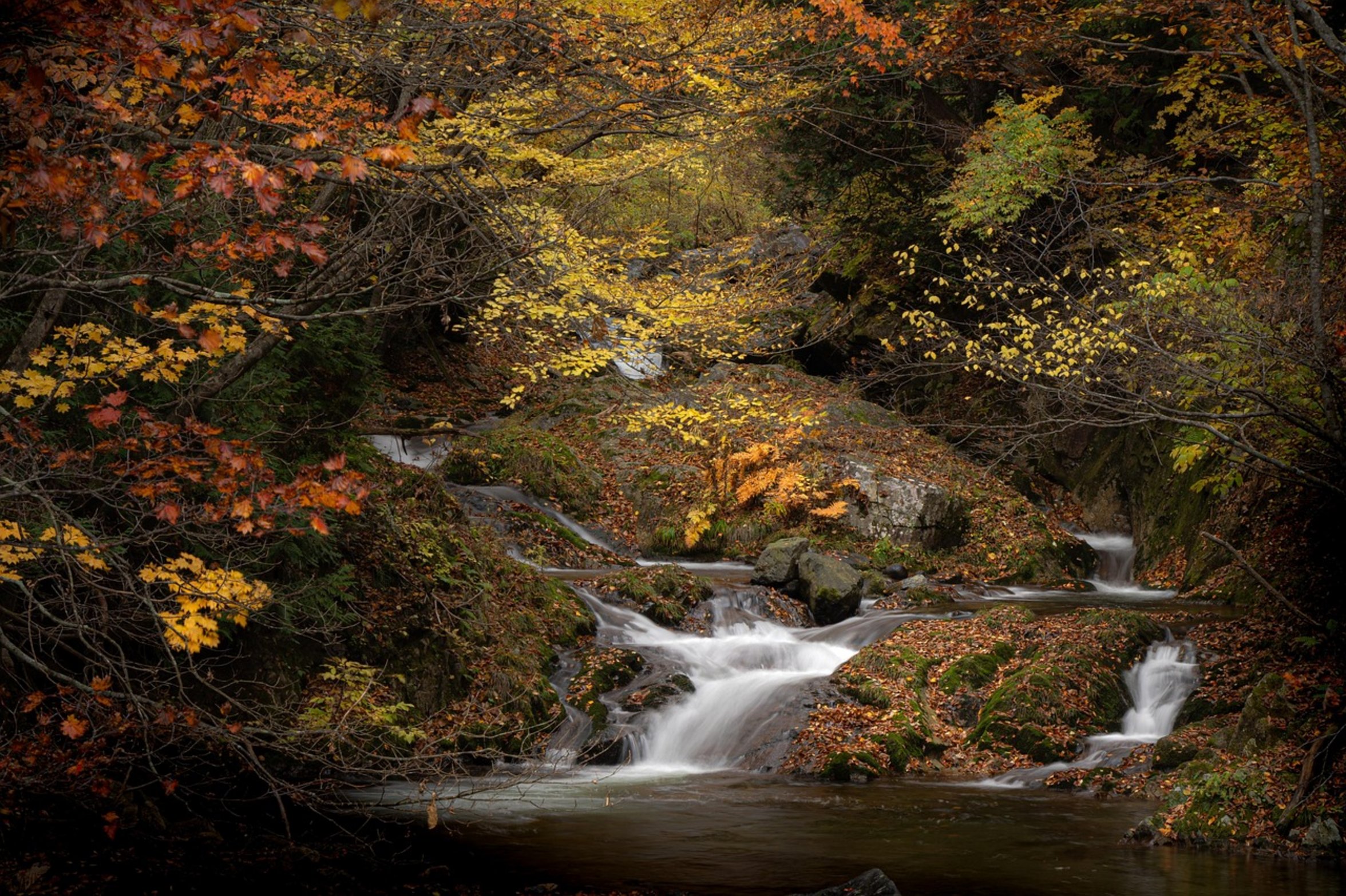 autumn river stream autumn river stream
