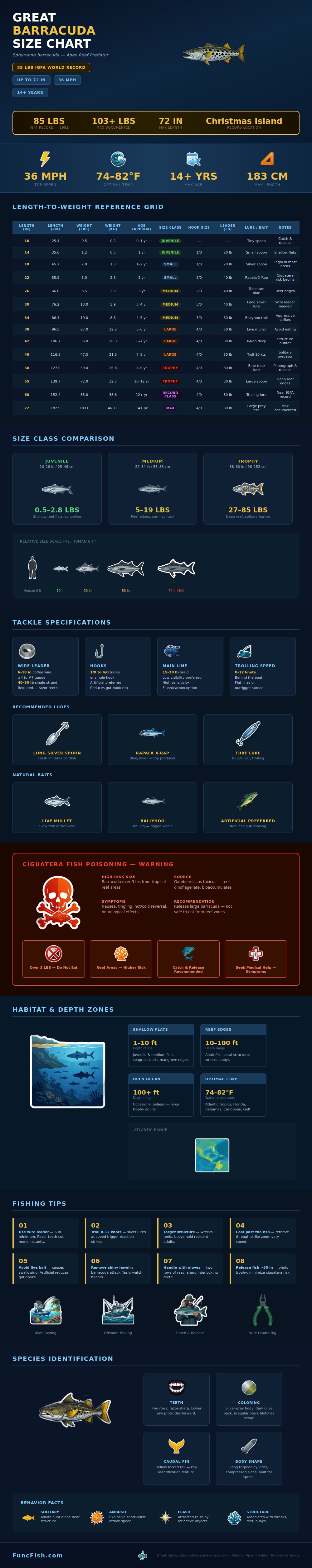 Barracuda Size Chart