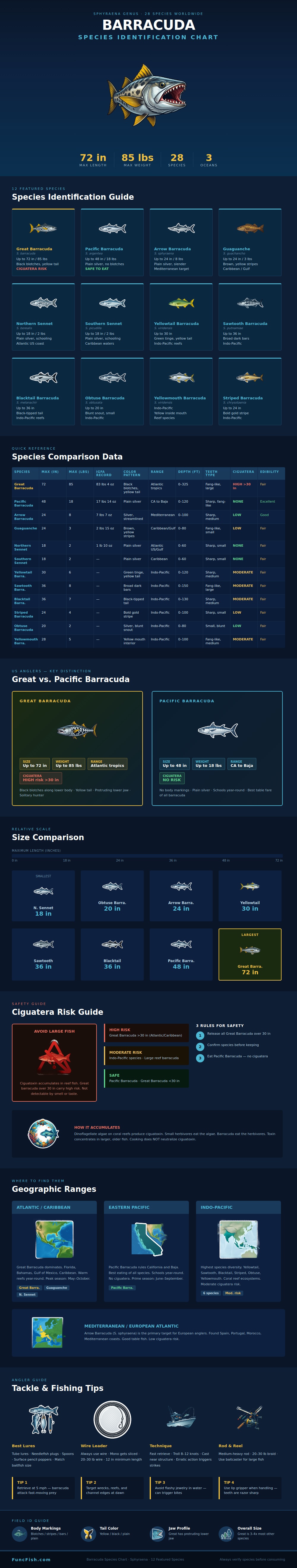 Barracuda Species Chart