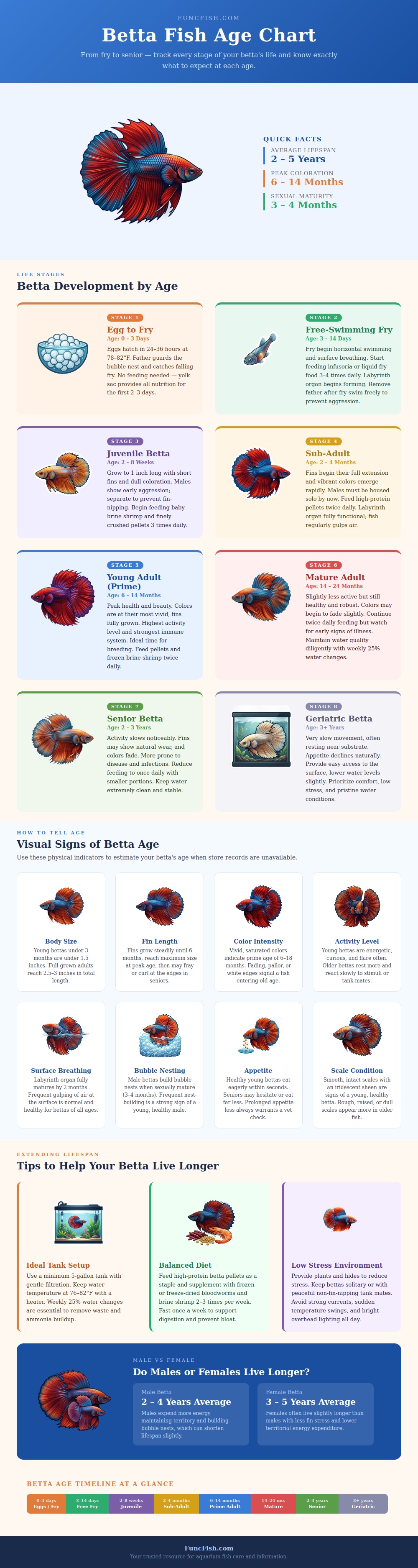 Betta Fish Age Chart