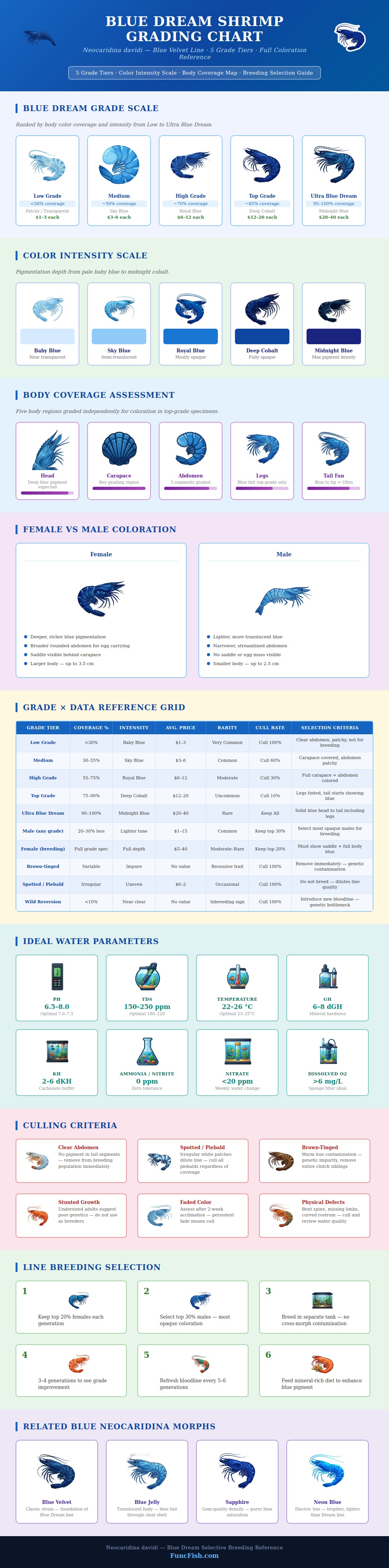 Blue Dream Shrimp Grading Chart