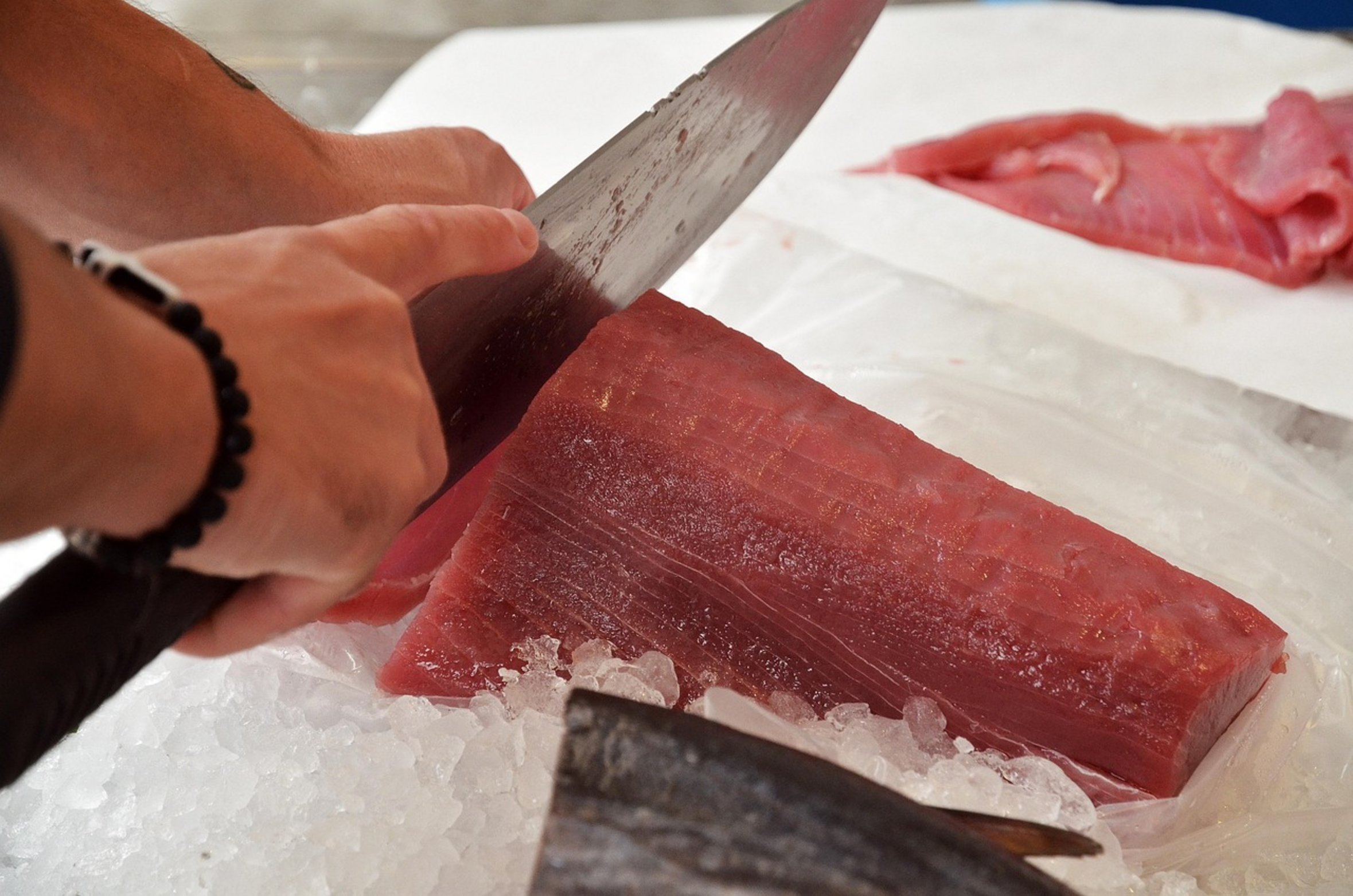 bluefin tuna belly bluefin tuna belly