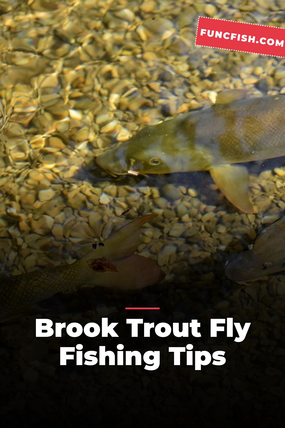 Brook Trout Fly Fishing Tips