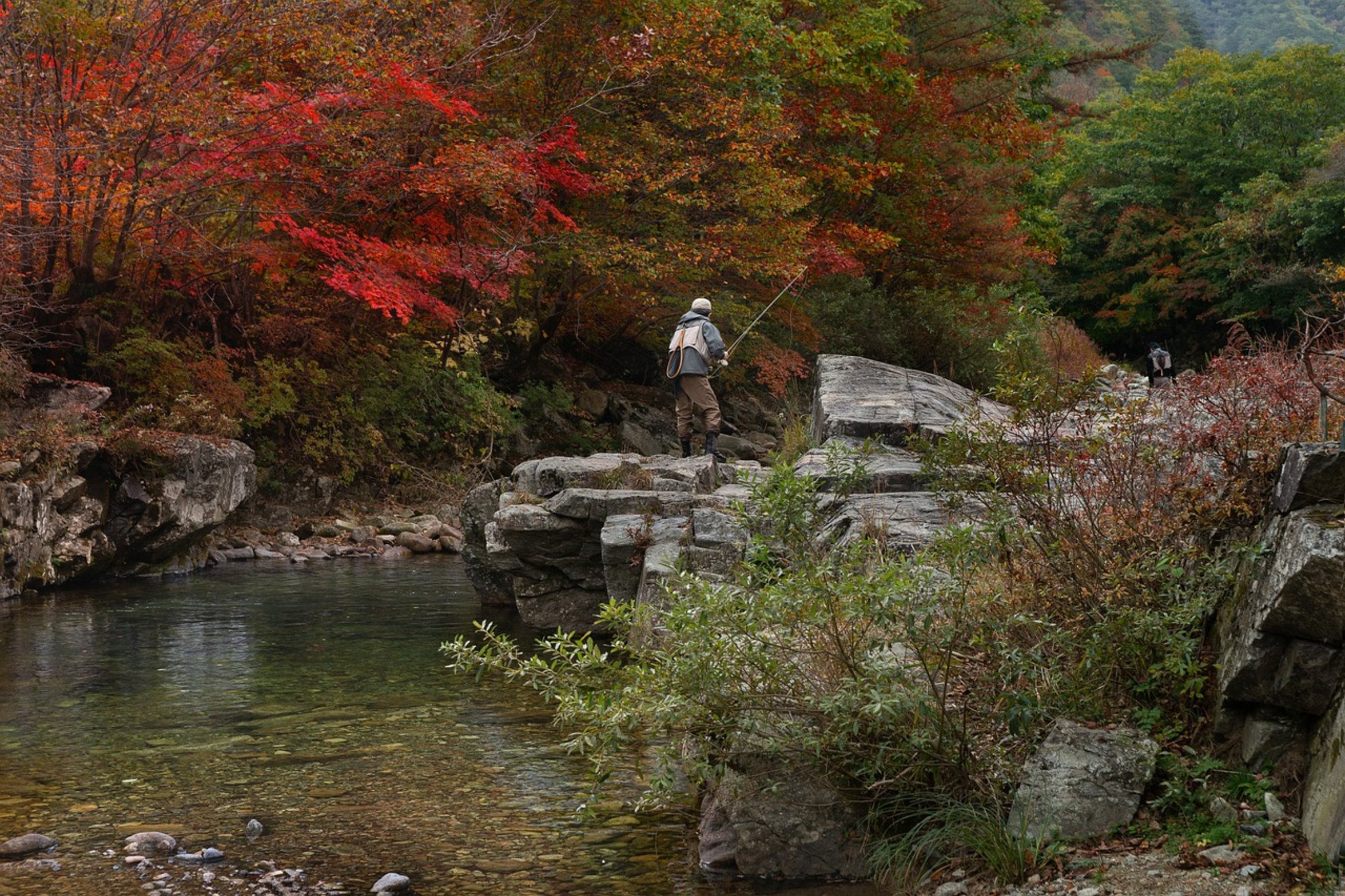 brown trout stream brown trout stream