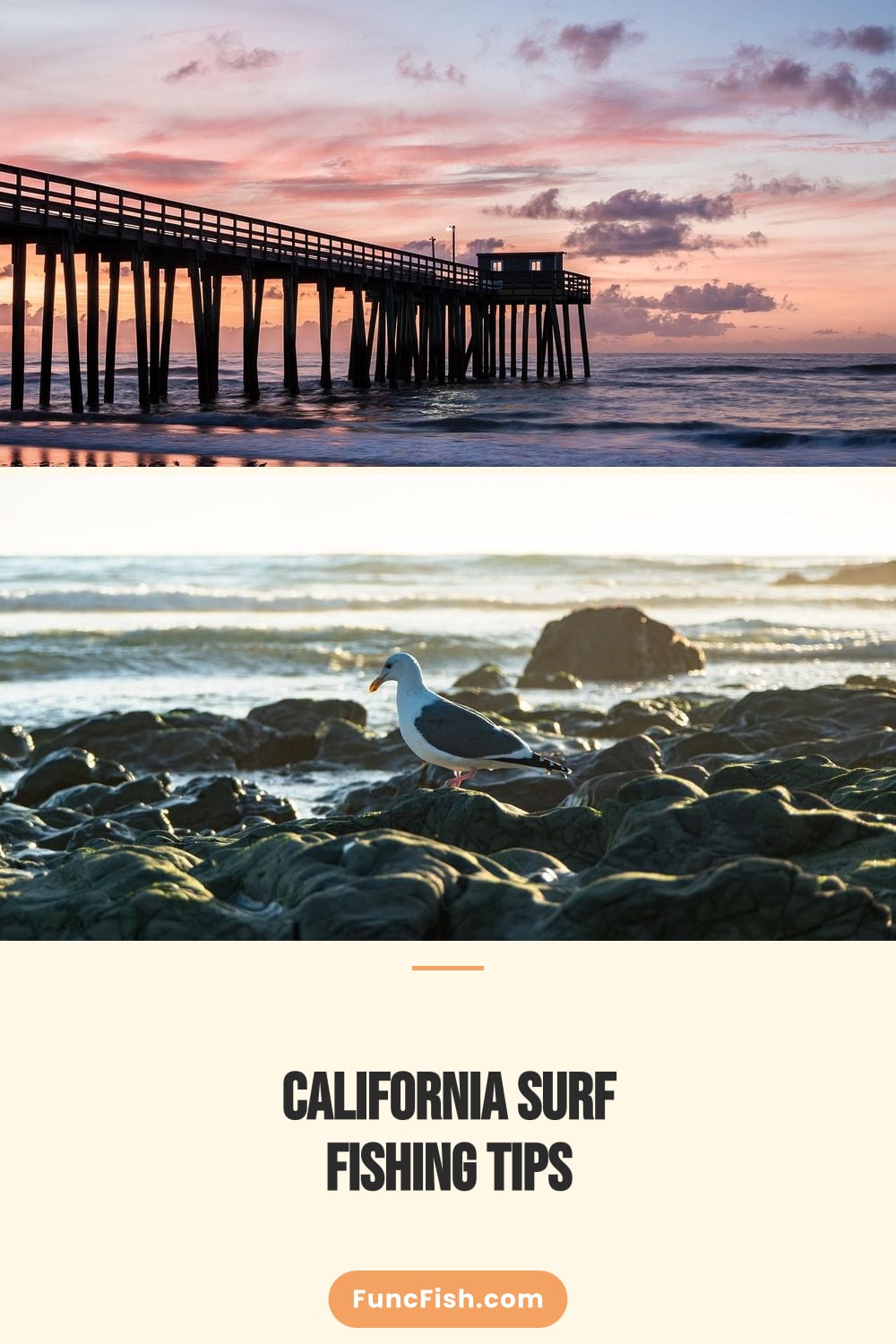 California Surf Fishing Tips California Surf Fishing Tips