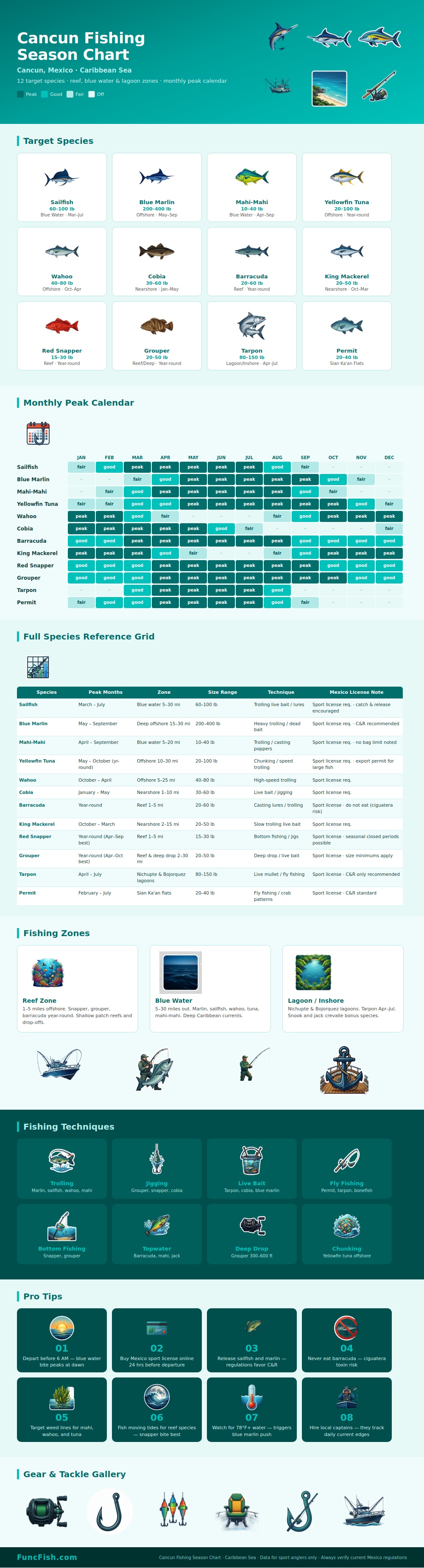 Cancun Fishing Season Chart