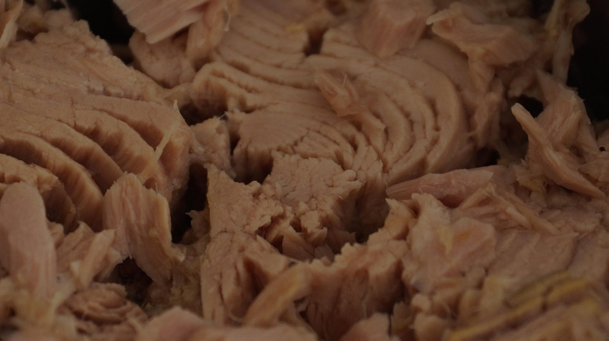 canned white tuna meat canned white tuna meat