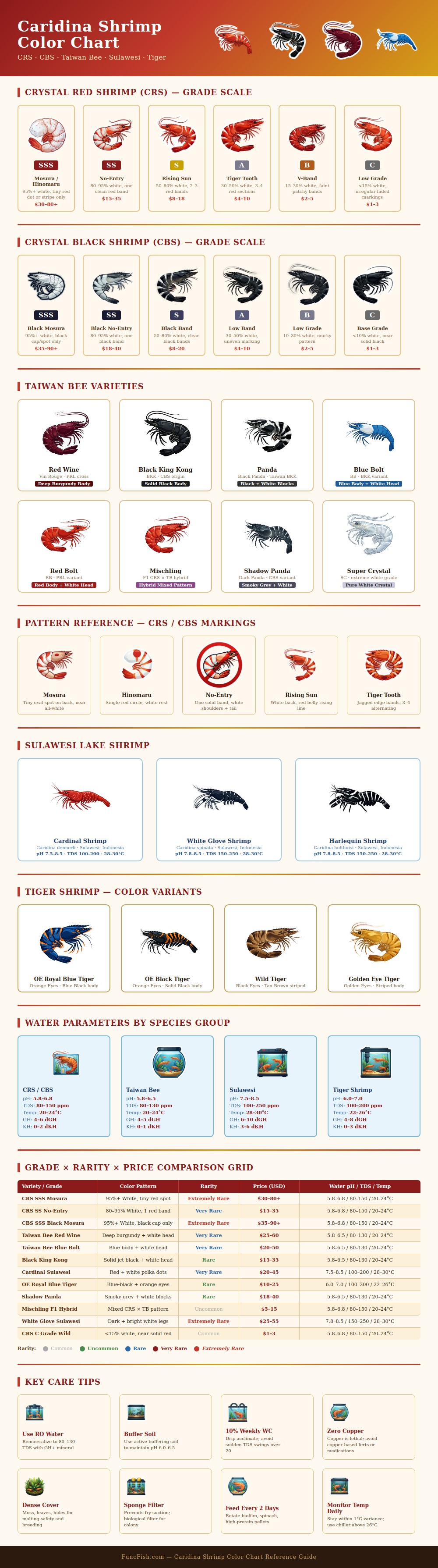 Caridina Shrimp Color Chart