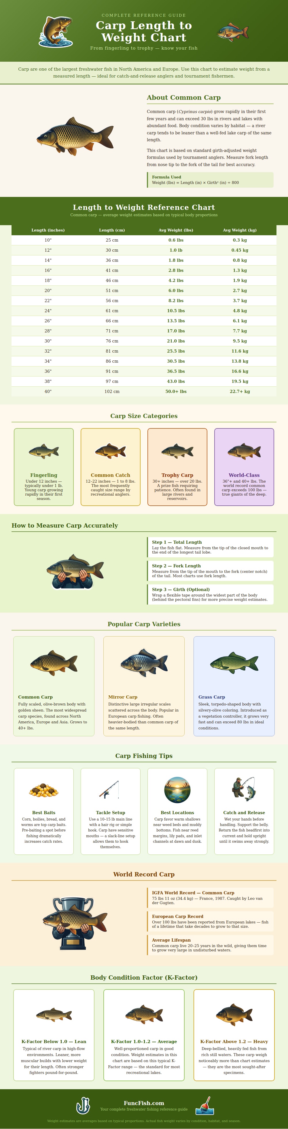 Carp Length To Weight Chart