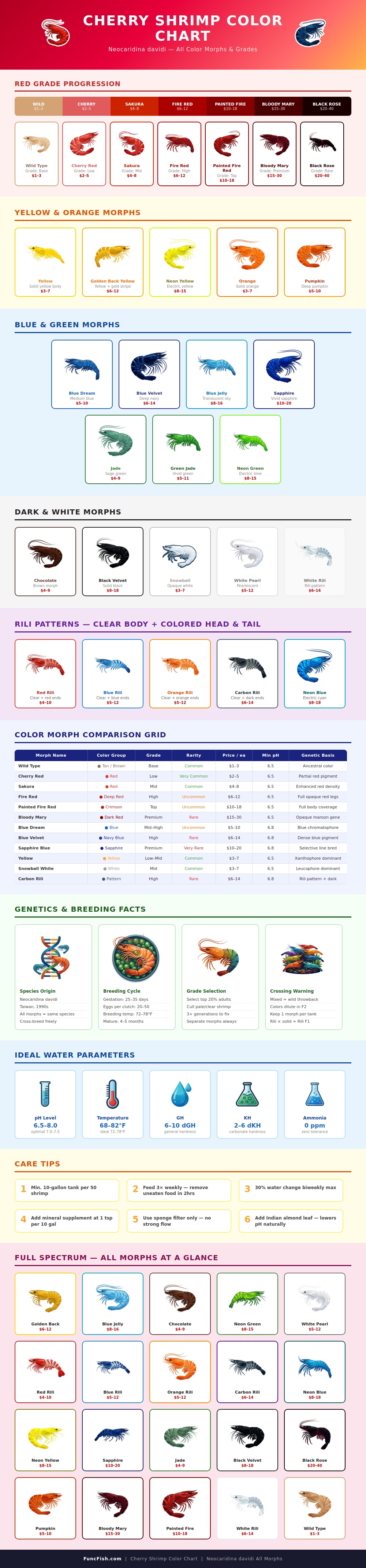 Cherry Shrimp Color Chart