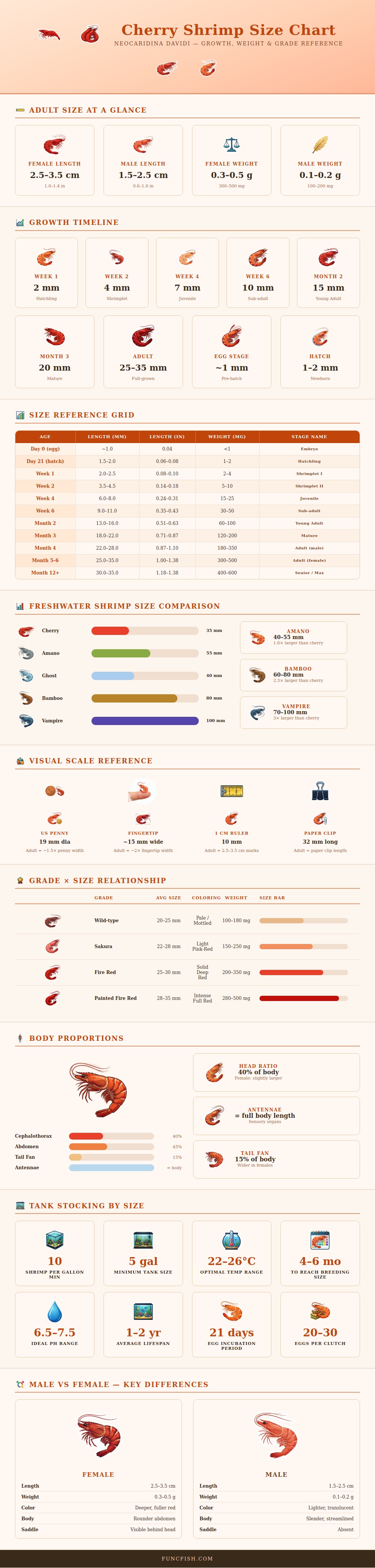 Cherry Shrimp Size Chart