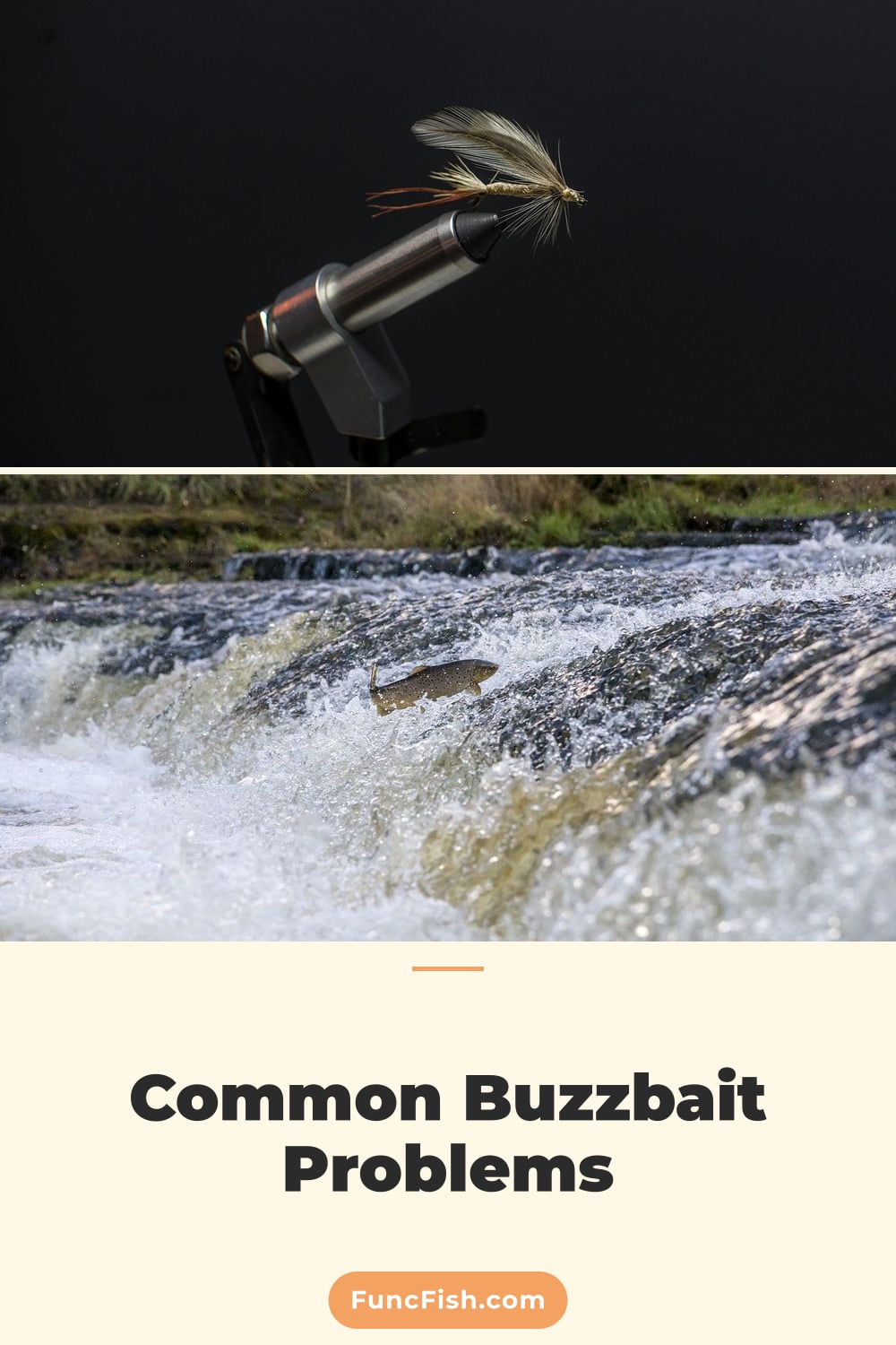 Common Buzzbait Problems