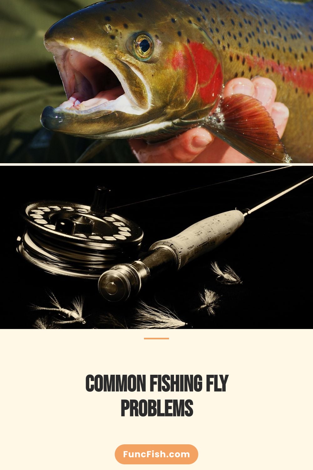 Common Fishing Fly Problems Common Fishing Fly Problems