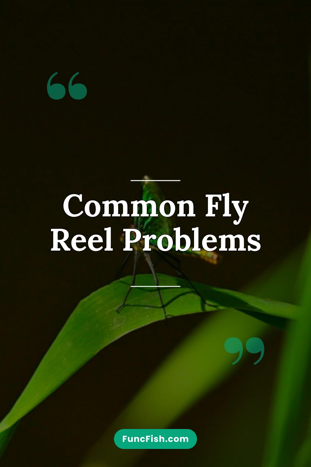 Common Fly Reel Problems