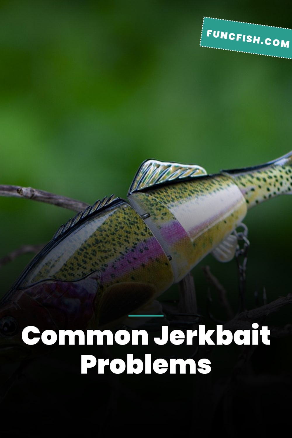 Common Jerkbait Problems